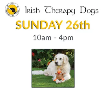 Irish Therapy Dogs