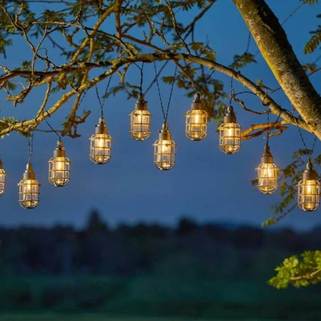 Anglia 365 String Lights - - image 2