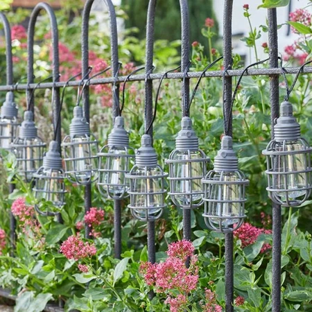 Anglia 365 String Lights - - image 3