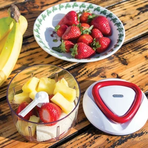 Easy Pull Food Processor - image 14