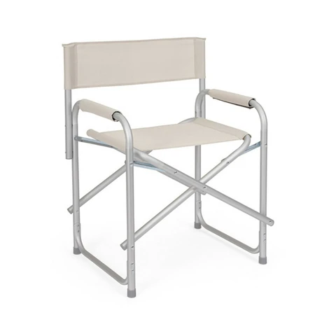 GREY ICE DIRECTOR CHAIR - image 1