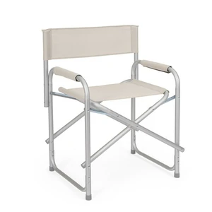GREY ICE DIRECTOR CHAIR - image 1