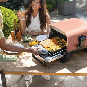 Ninja Woodfire Elec Outdoor Oven 101 - image 3