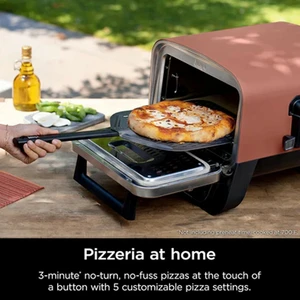 Ninja Woodfire Elec Outdoor Oven 101 - image 5