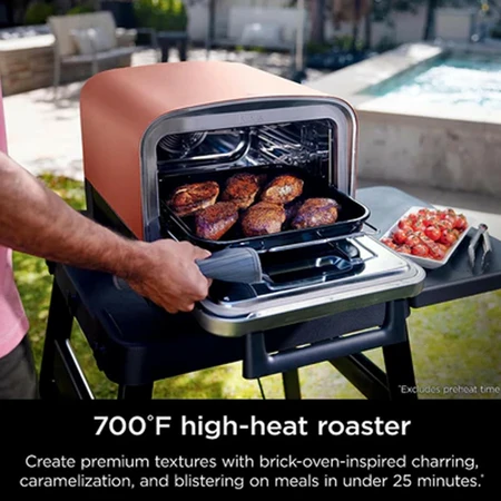 Ninja Woodfire Elec Outdoor Oven 101 - image 8