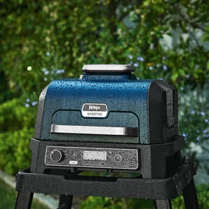 Ninja Woodfire Pro XL Electric 850 - image 6