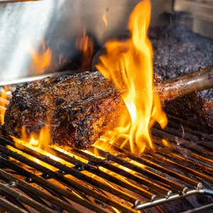 Navigator 1150 Pellet Grill - image 5