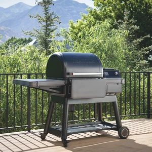 Ironwood - image 6