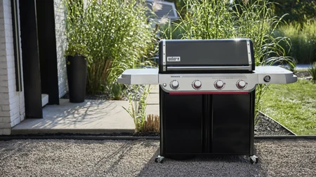 Genesis E-425W - image 4