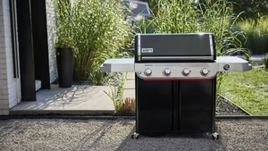 Genesis E-425W - image 4