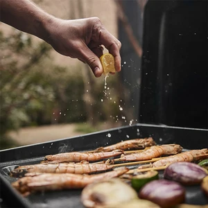 GRIDDLE 43cm, 1 Burner - image 8