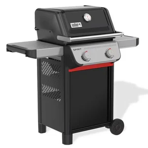 Spirit E-210 - image 2