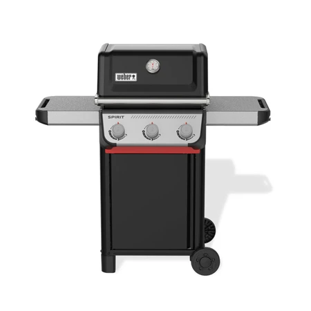Spirit E-310 - image 1