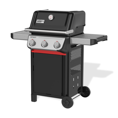 Spirit E-310 - image 2