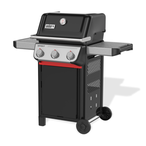 Spirit E-310 - image 2
