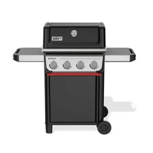 Spirit E-410 - image 1