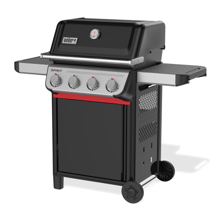 Spirit E-410 - image 2