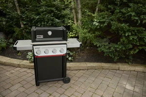Spirit E-410 - image 4