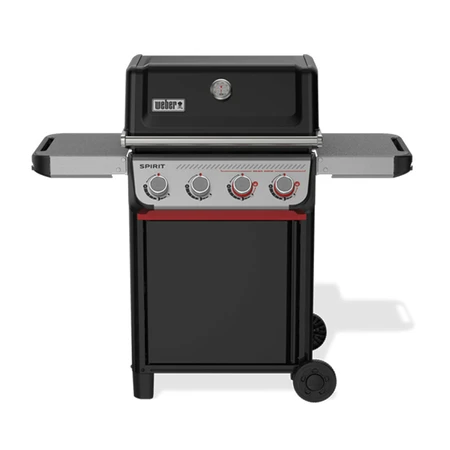 Spirit E-425 - image 1