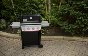 Spirit E-425 - image 4