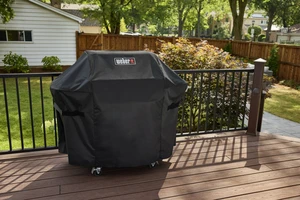 Spirit E-425 - image 11
