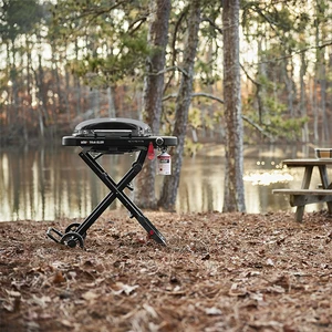 Traveler Compact - image 5